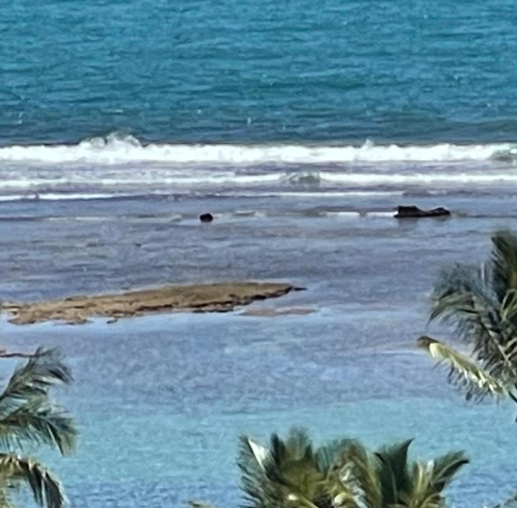 ホテル Casa Grande Sao Vicente ポルトセグロ エクステリア 写真