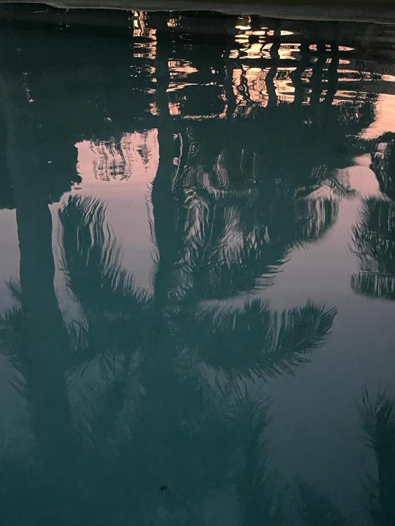 ホテル Casa Grande Sao Vicente ポルトセグロ エクステリア 写真