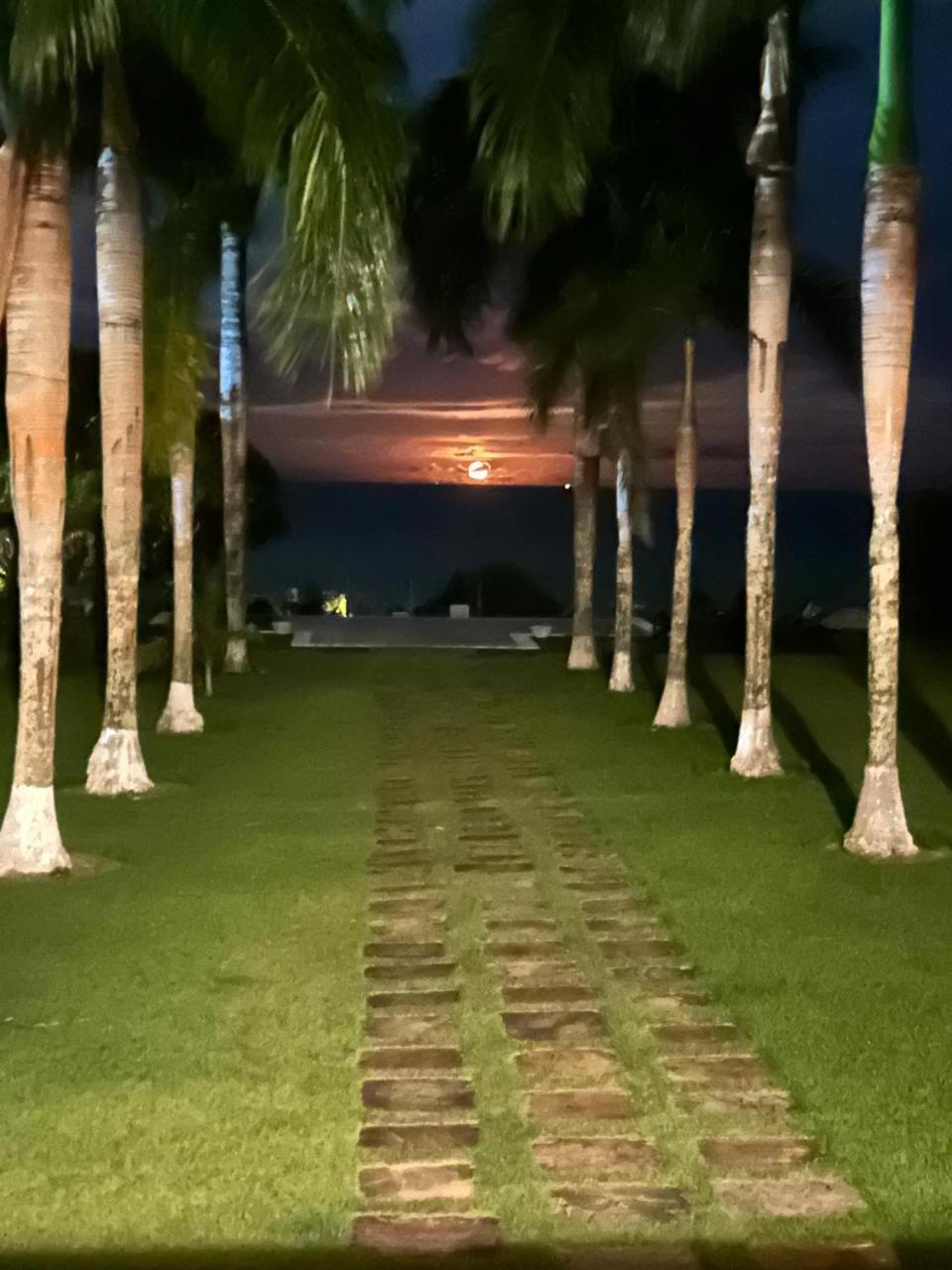 ホテル Casa Grande Sao Vicente ポルトセグロ エクステリア 写真